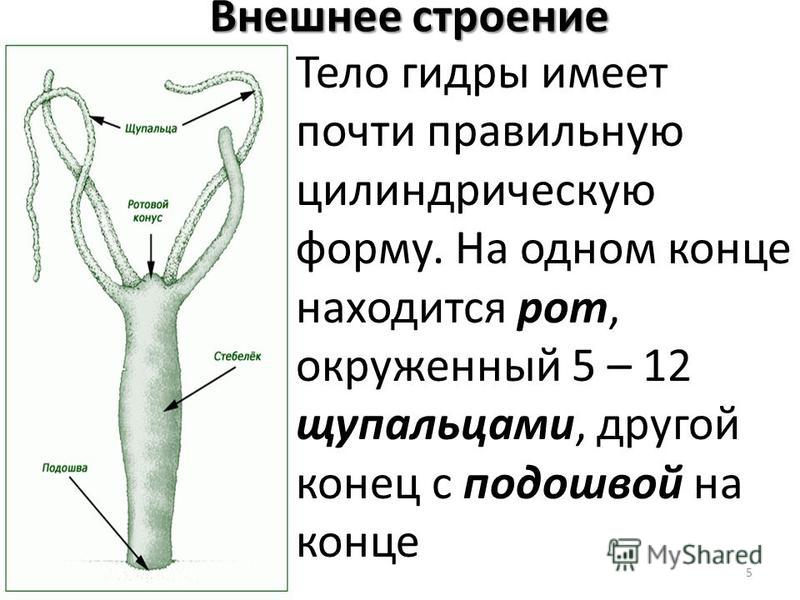 Кракен маркетплейс закрыли